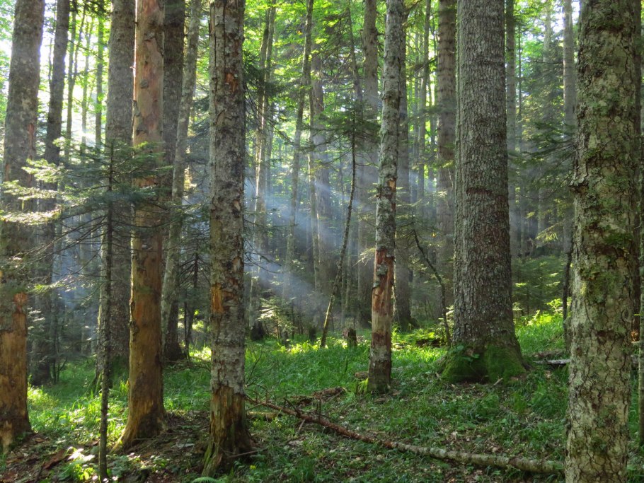 Горы Адыгея панорама