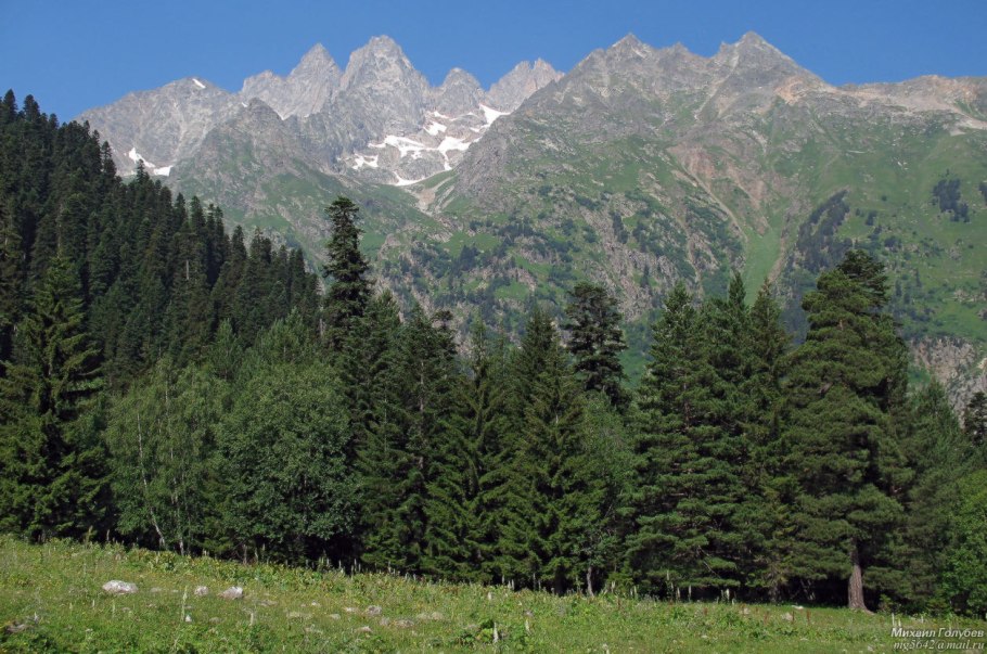 Сарматский смешанный лес