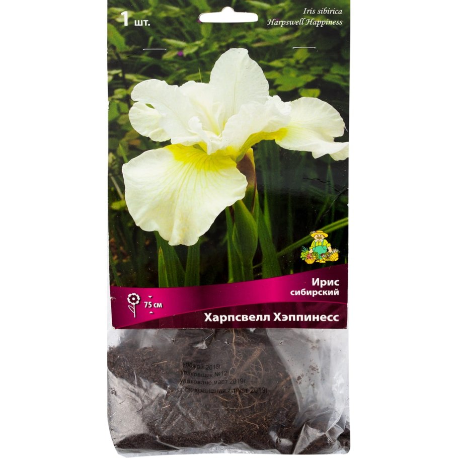 Кл/ Ирис Сибирский Харпсвил Хэппинесс(белый) 2шт.