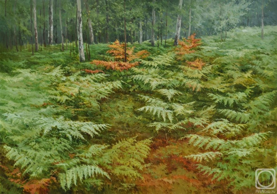 Лиановидные папоротники