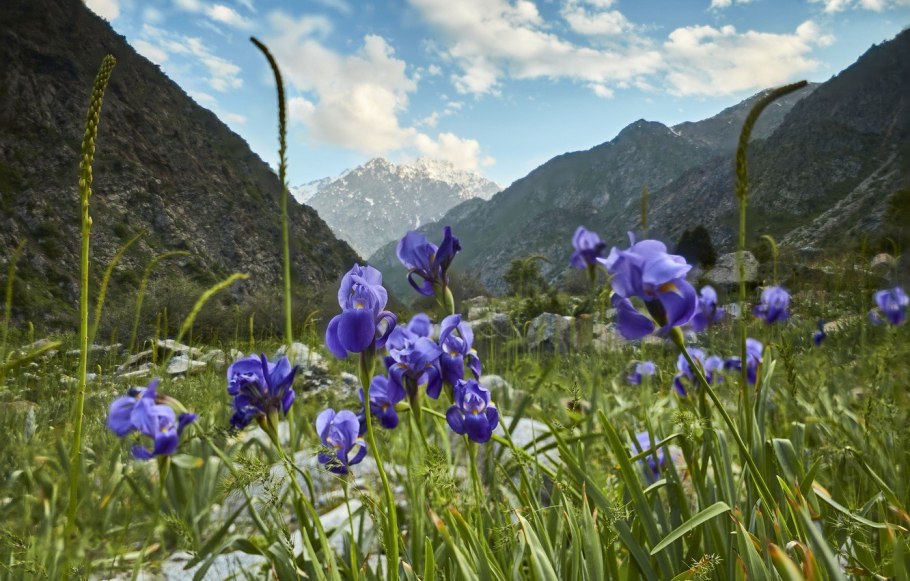 Красивые пейзажи Узбекистана