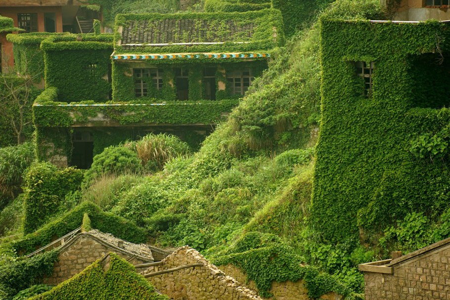 Хиганбана (красная Паучья Лилия)