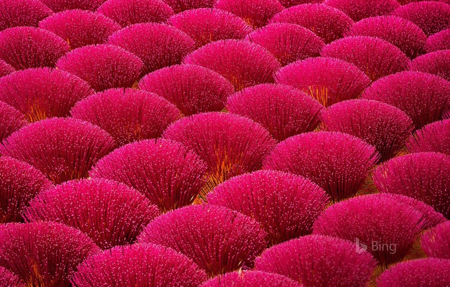 Растительность Китая