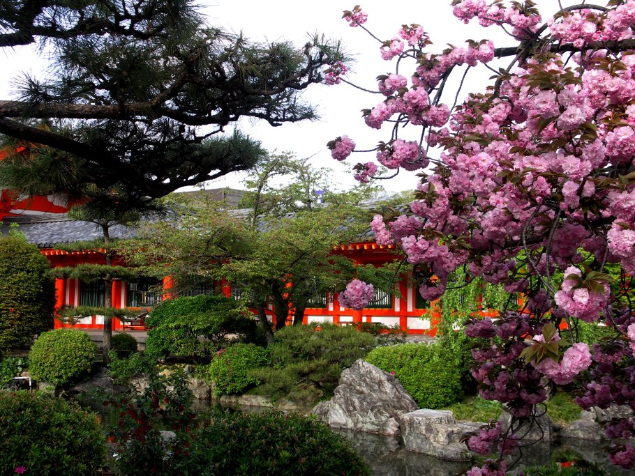 Чайные плантации в Китае