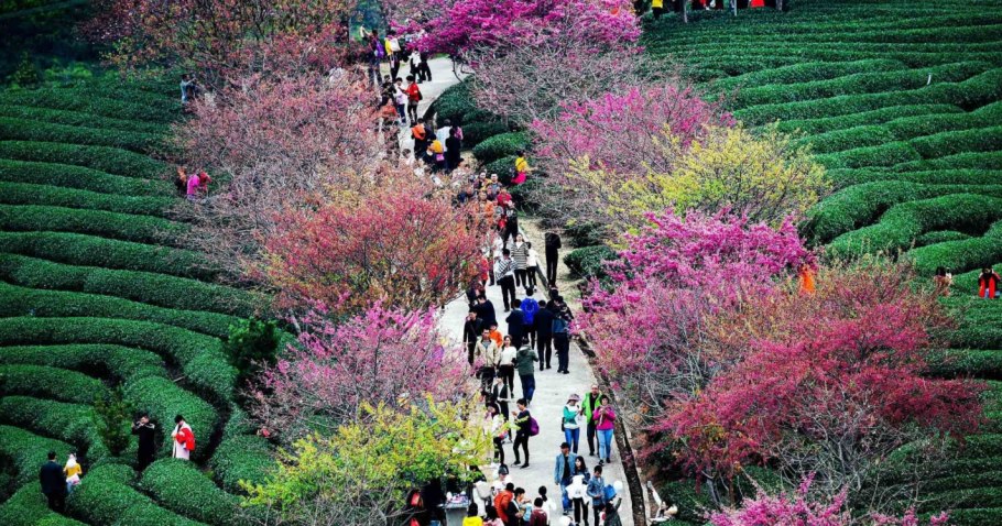 Жилой комплекс QIYI City Forest Garden