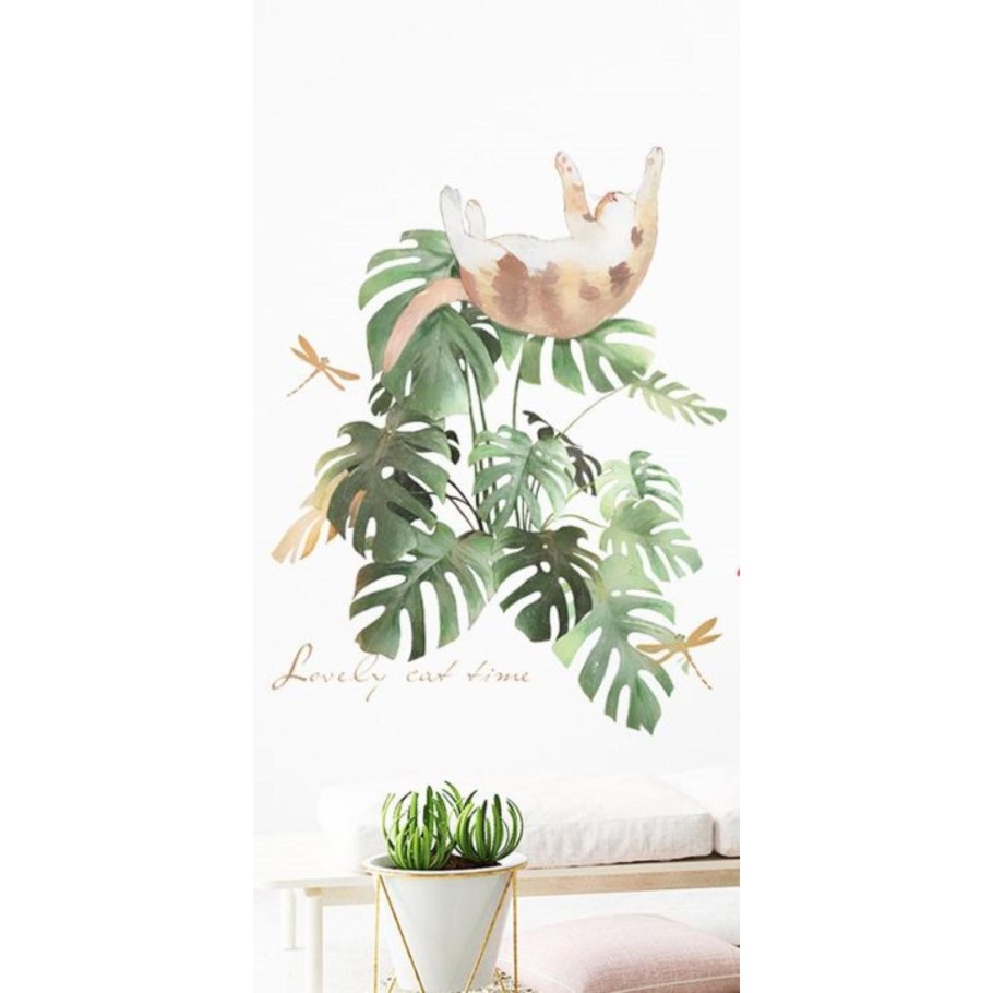 Монстера пиннатипартита