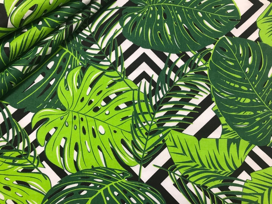 Монстера (d-24, н-80)