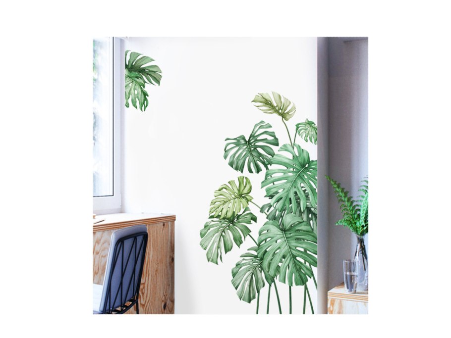 Монстера Пертусум