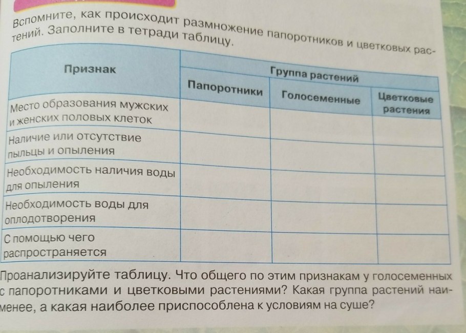 Отдел Голосеменные растения общая характеристика таблица