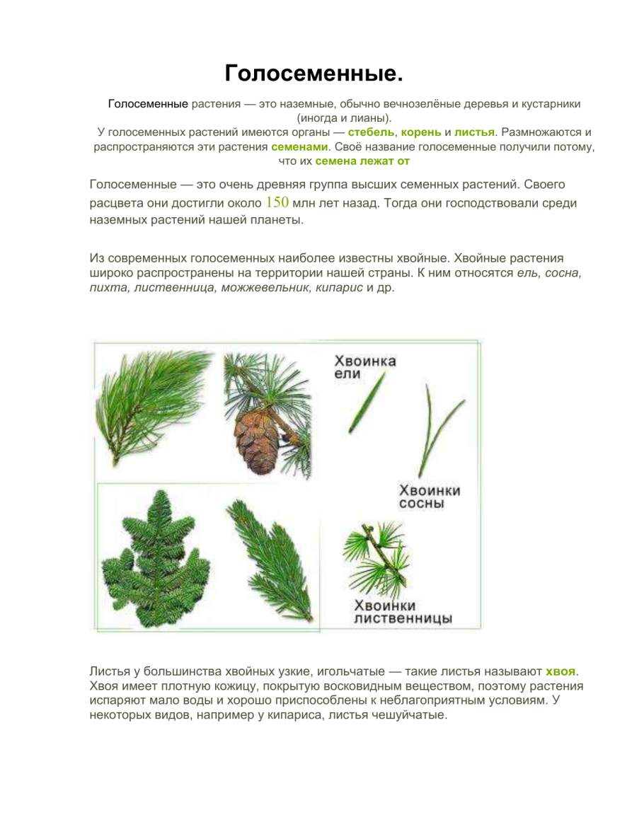 Таблица многообразие растений 5 класс биология