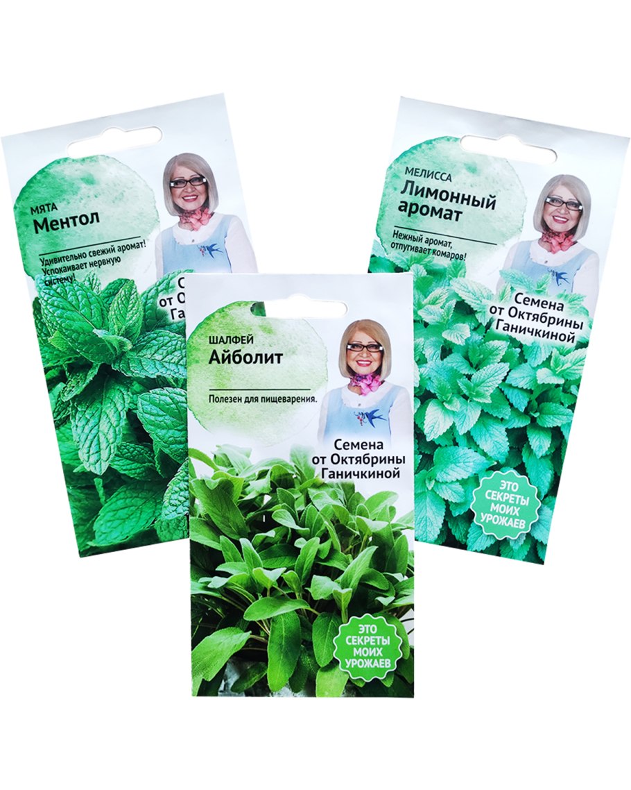 Мята шалфей