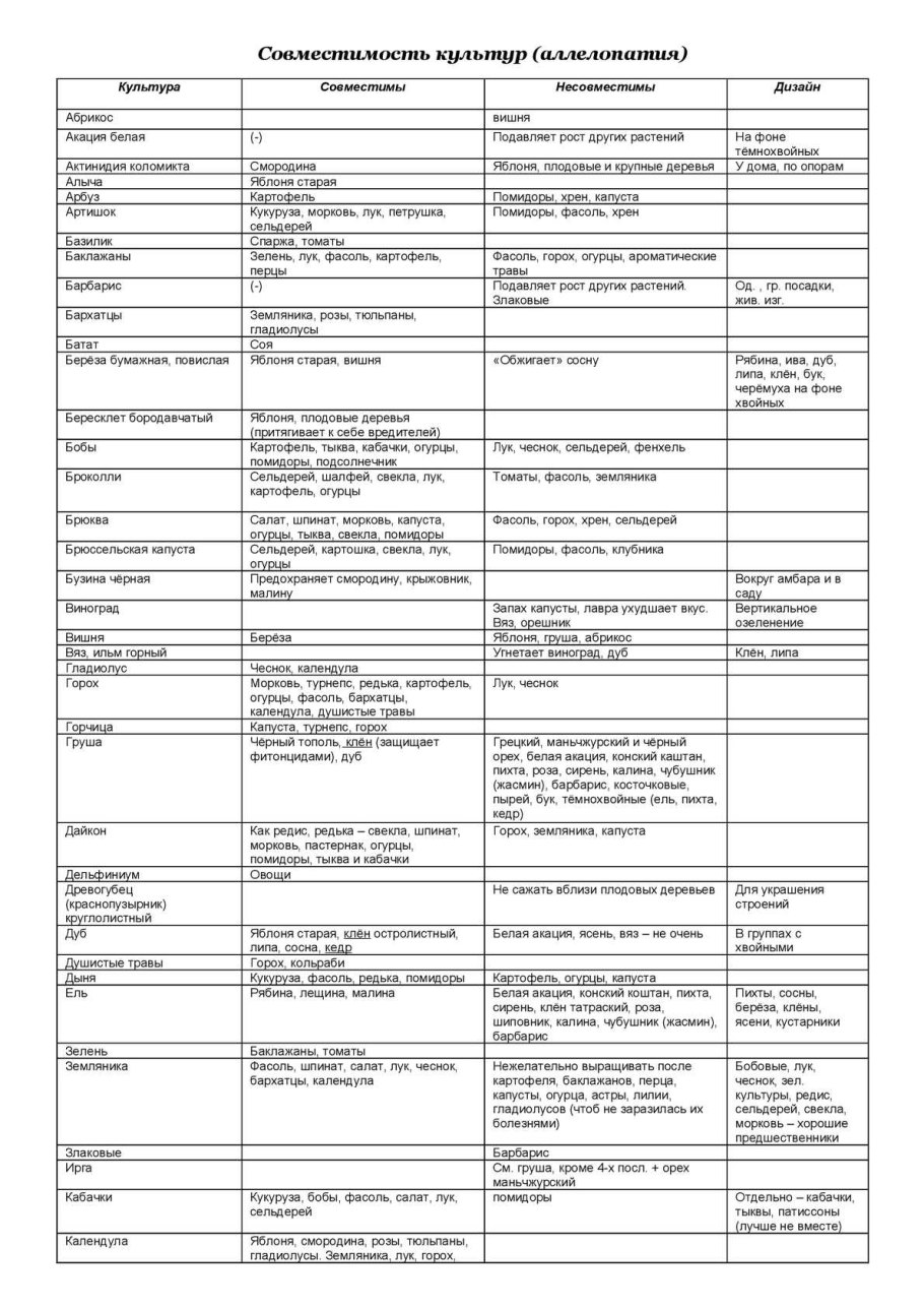 Таблица совместимости плодовых деревьев и кустарников