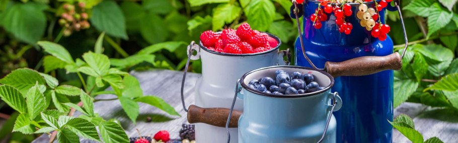 Смородина на Щапова