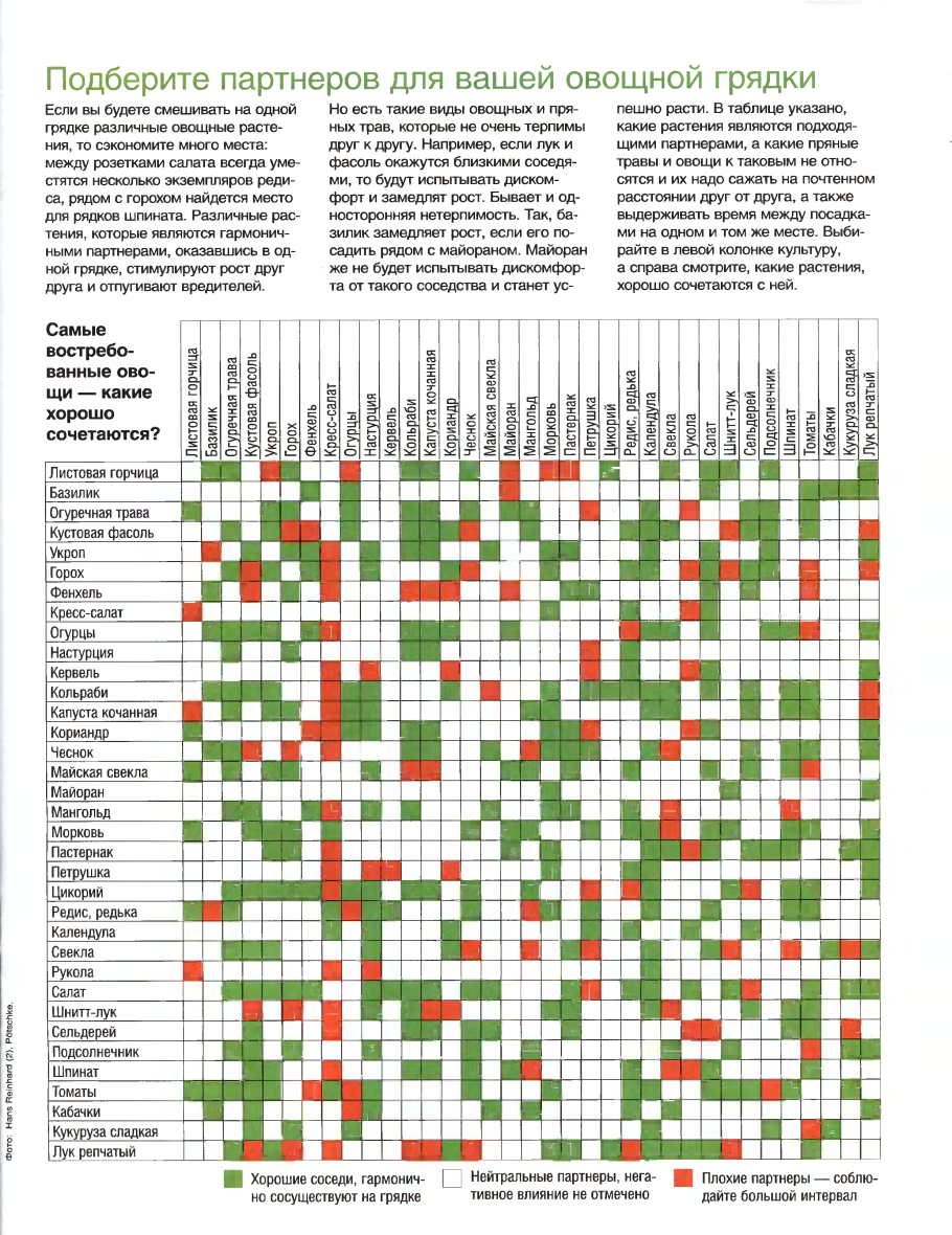 График подкормки ремонтантной малины