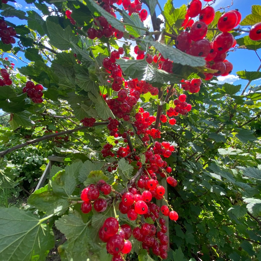 Таблица по раздельному питанию подробная