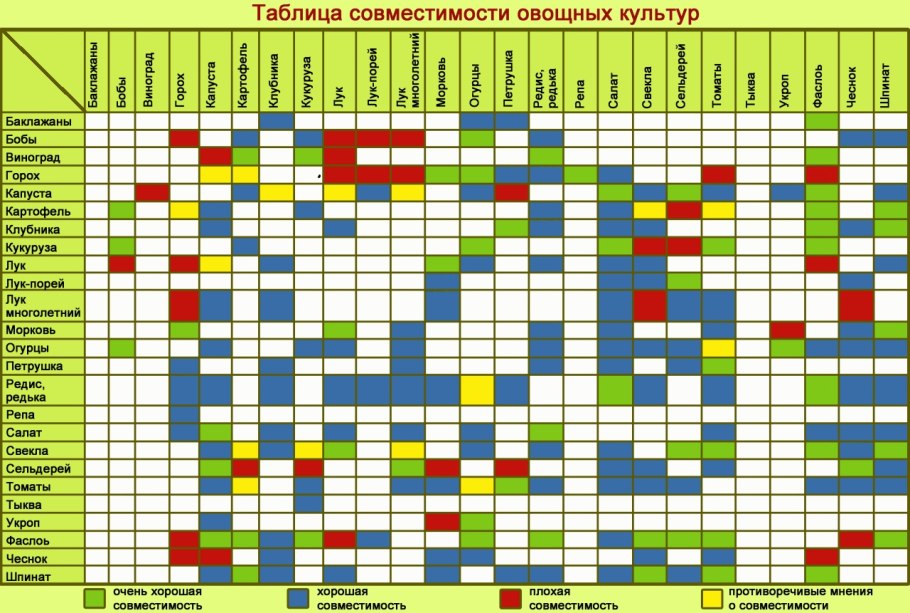 Л. А. Мей "лето красное, росы Студёные ..."