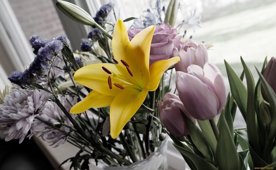 Тюльпановые лилии