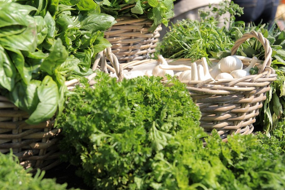 Вейник остроцветковый Overdam