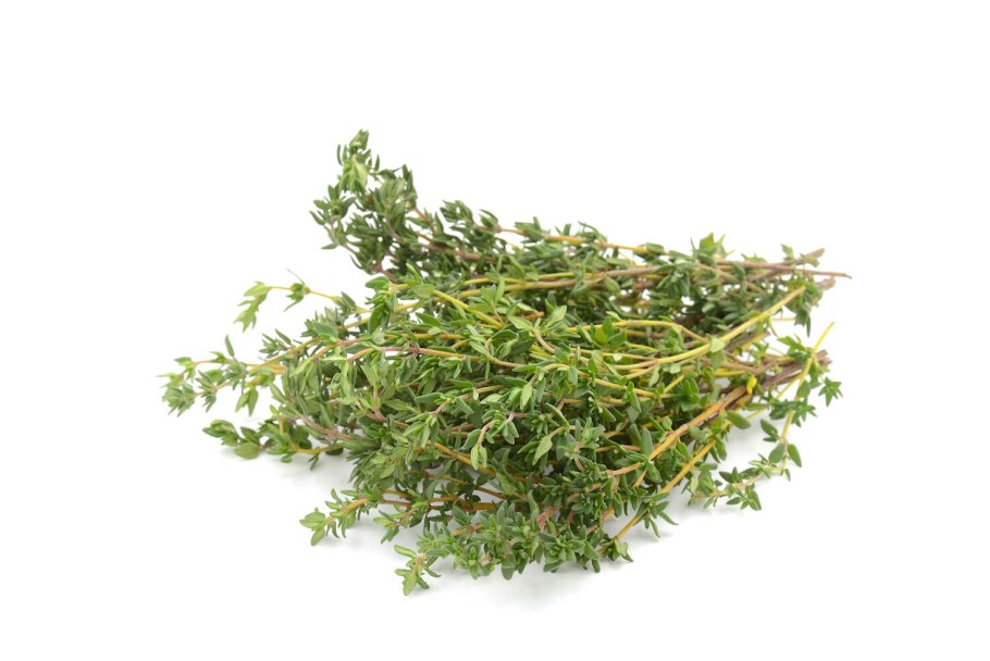 Тимьян Thymus vulgaris