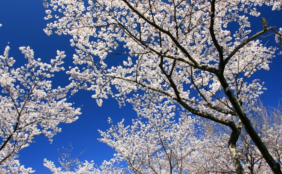 Весеннее небо