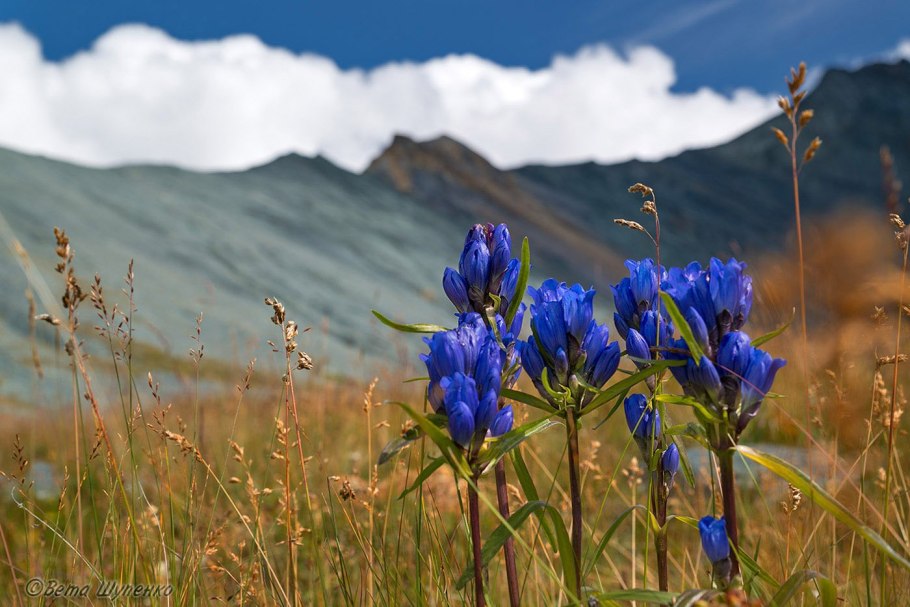 Убсунурская котловина в Тыве