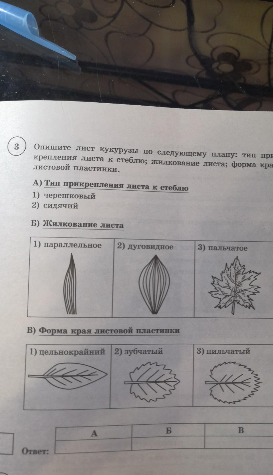 Формула листа биология
