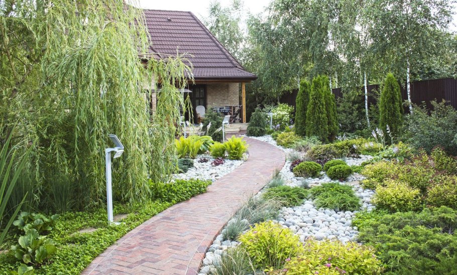 Ива "Плакучий Гном" Salix "Placutschii Gnom"