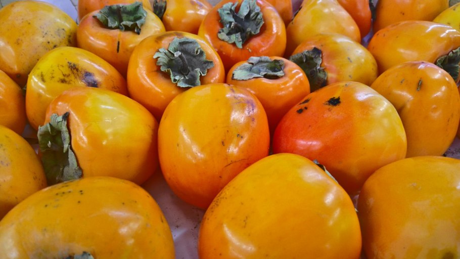 Томат девичье сердце