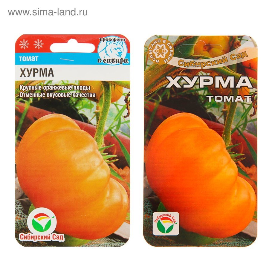 Помидоры сорт успех