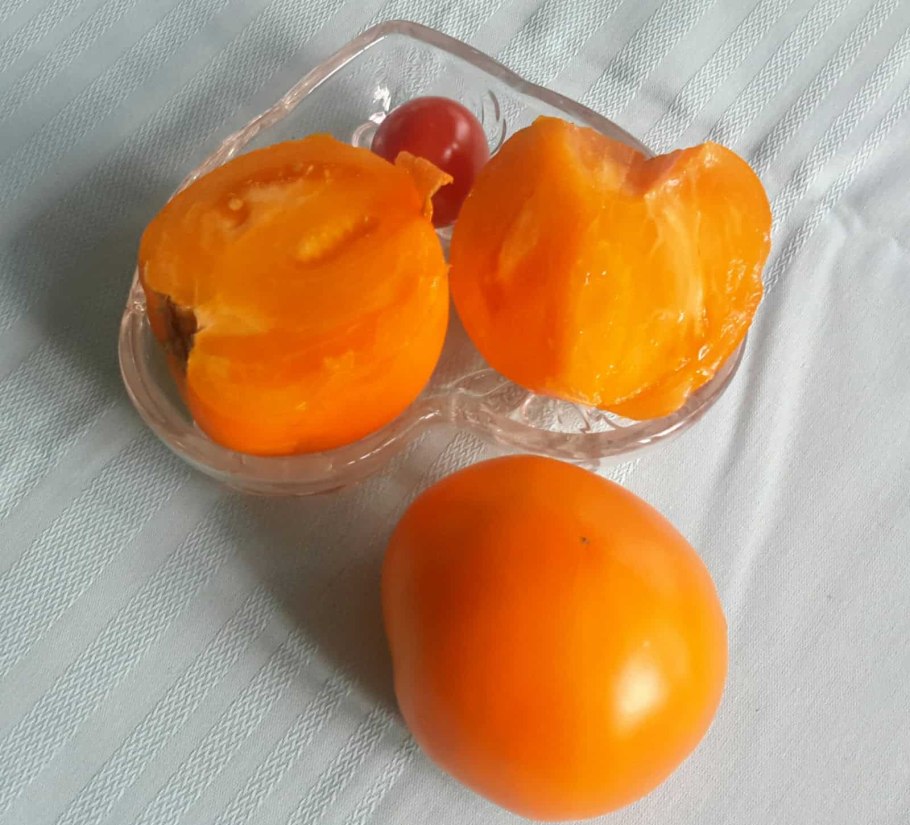 Помидоры сорт хурма