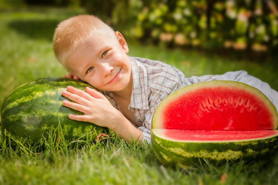 Полиз экинлари