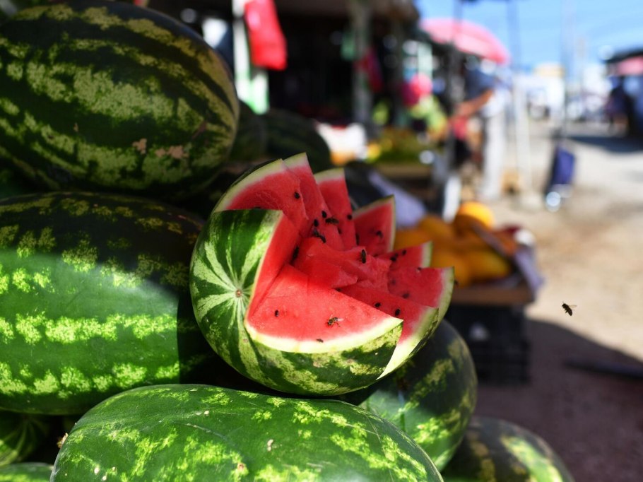 Сбор арбузов
