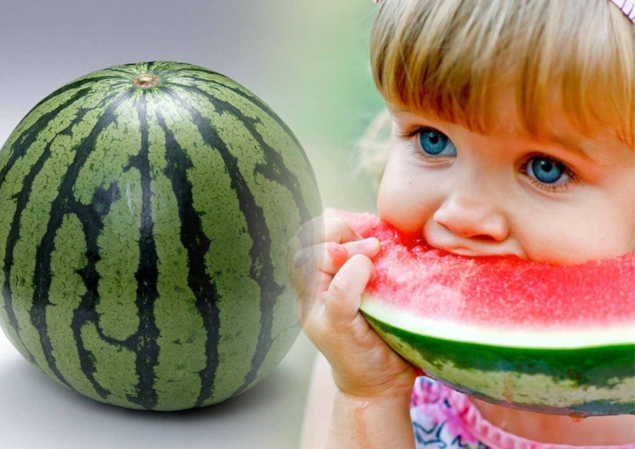 Арбуз Сармат