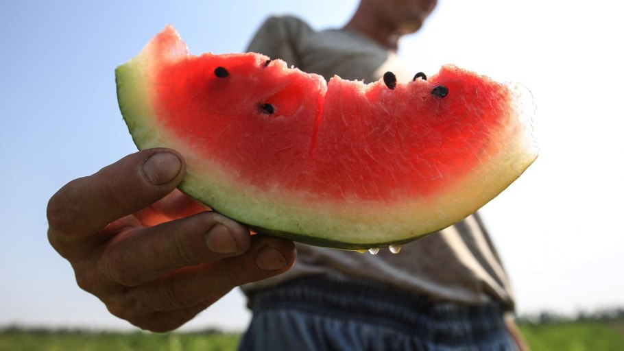 После арбуза подташнивает