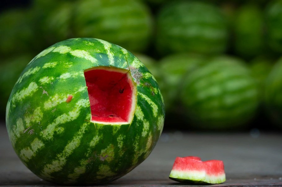 Арбузник афиша