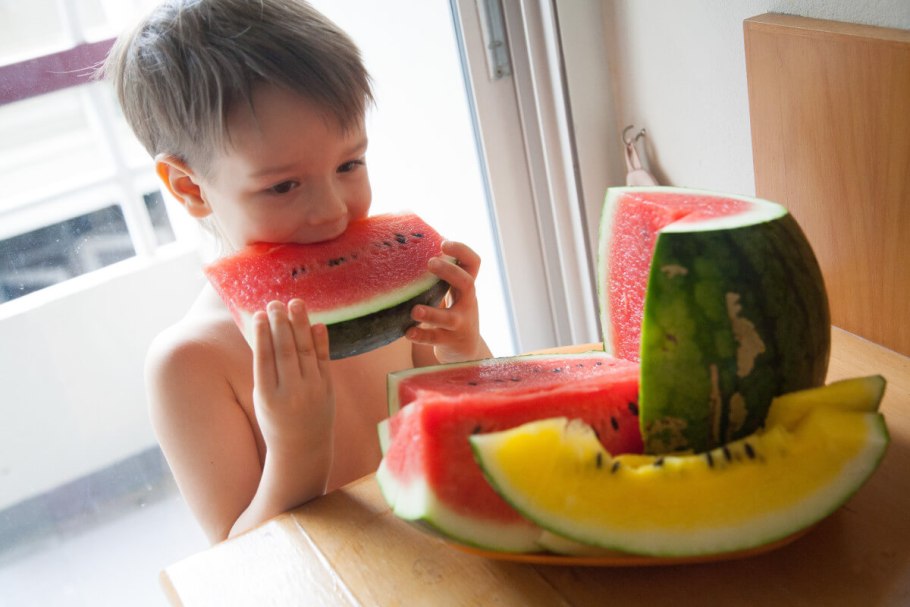 Розовый Арбуз сорт