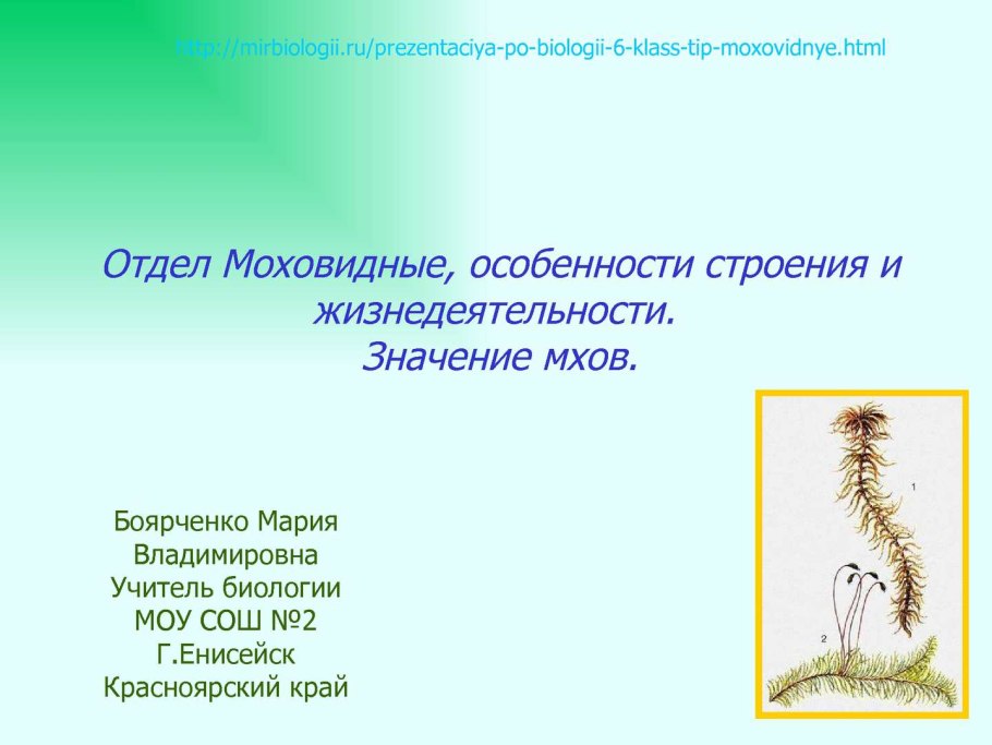 Жизненный цикл маршанции