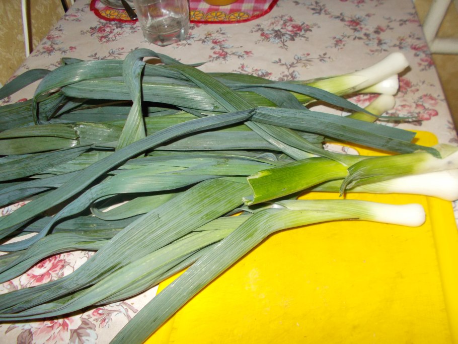 Лук порей и батун
