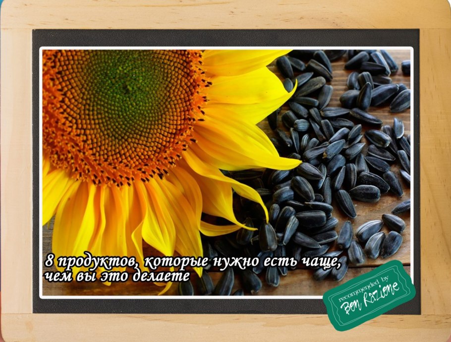 Трубчатый цветок подсолнечника