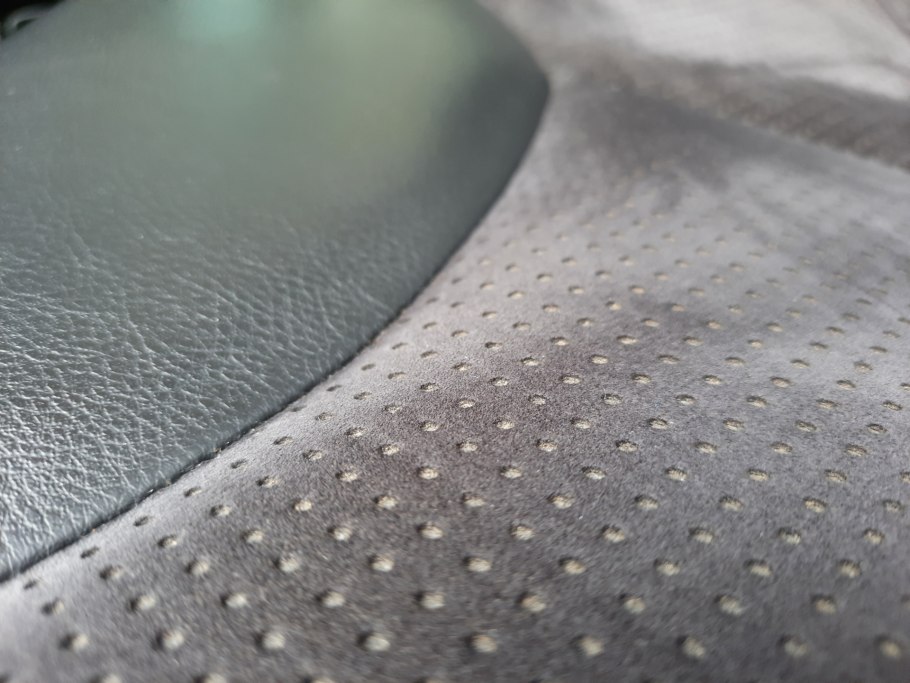 Подсолнух зрелый