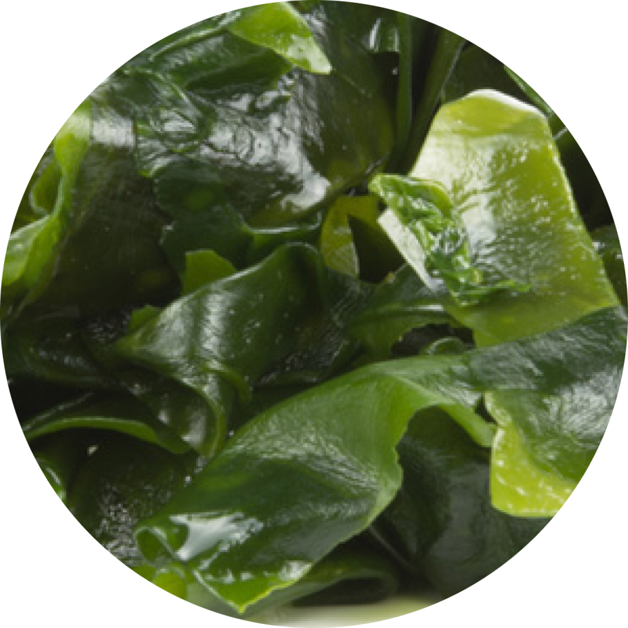 Ламифарэн гель водоросли