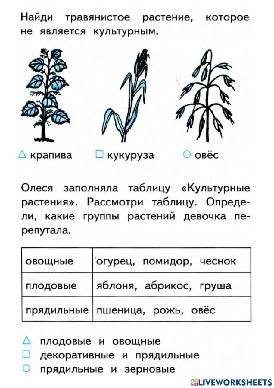 Дикорастущие и культурные растения задания по окружающему миру