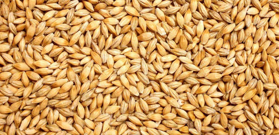 Солод пивоваренный ячменный