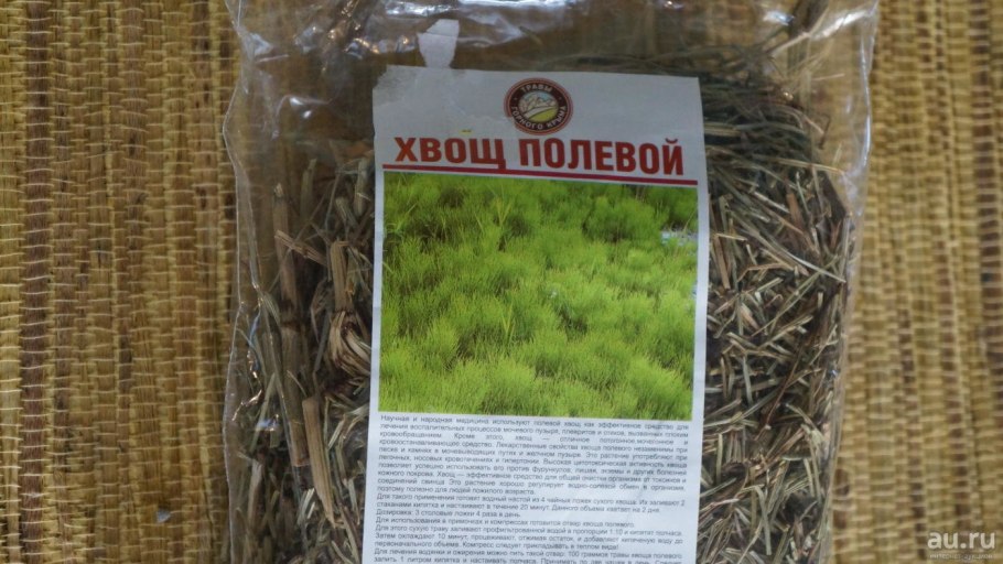 Хвощ полевой (Equisetum arvense)