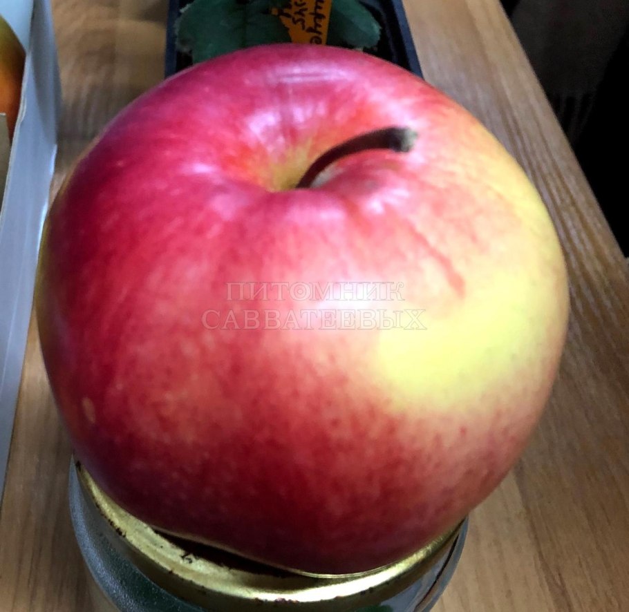Яблоки Гала зеленые