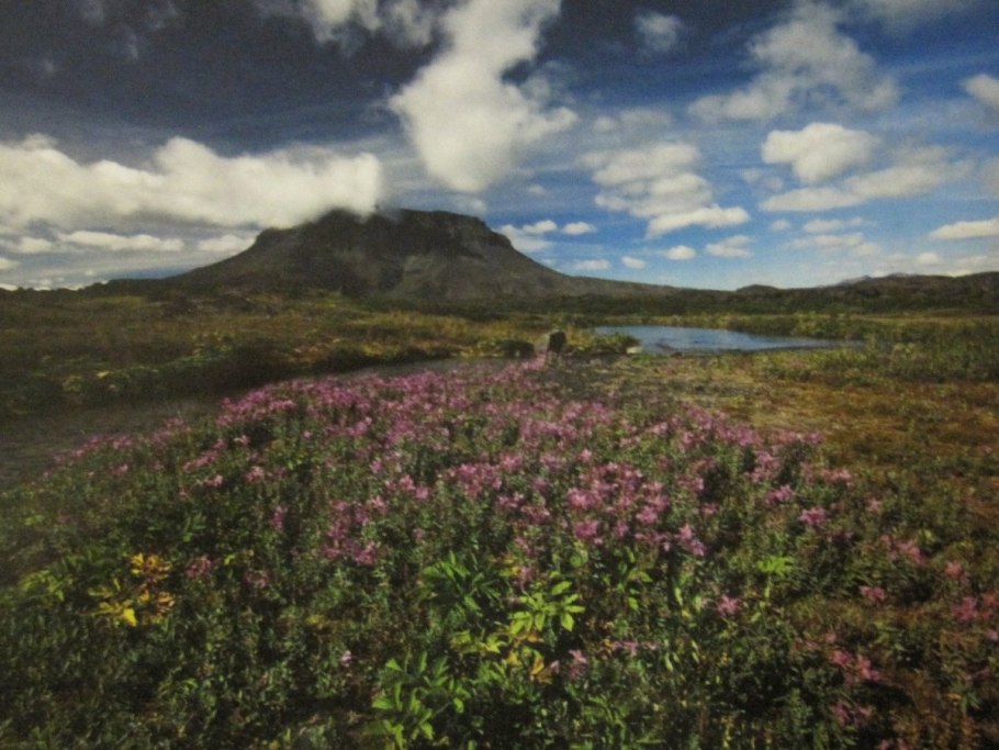 Чукотка Горная тундра