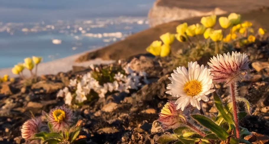 Кольский полуостров и Таймыр