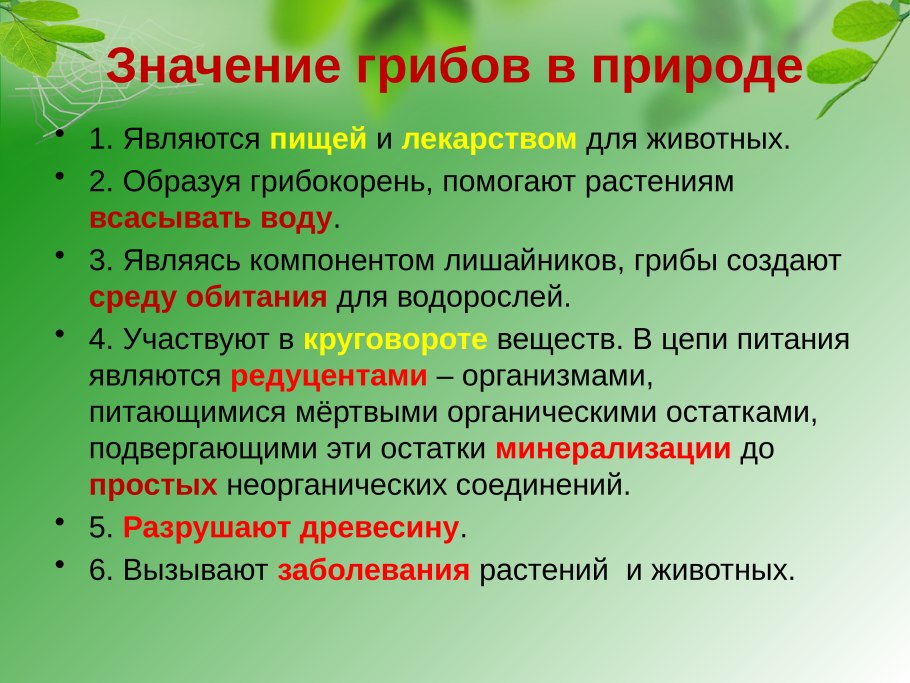 Таблица по биологии споровые растения