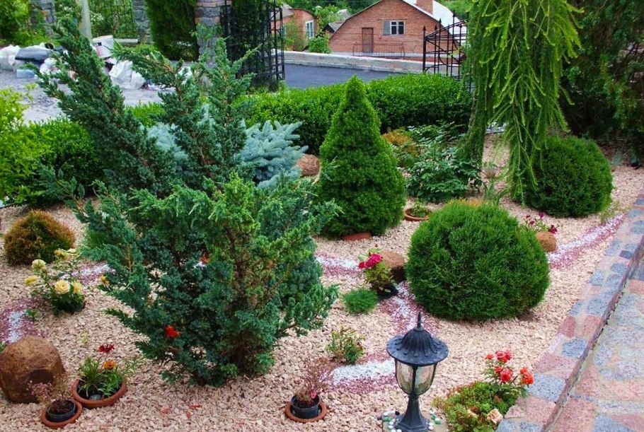 Ель Коника в ландшафте