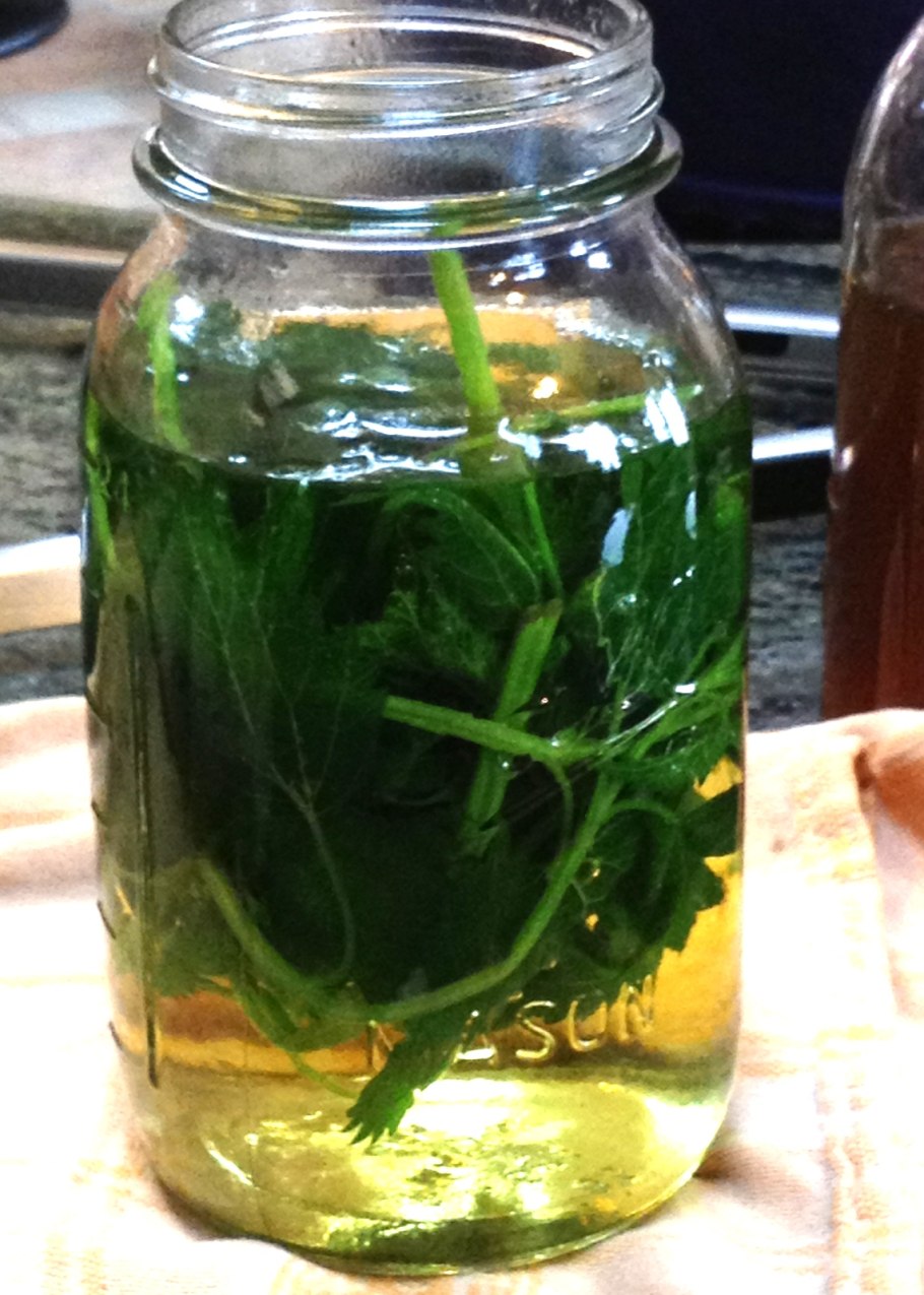 Чай с листьями смородины и мяты